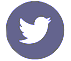 twittericon